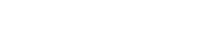 成功のポイント